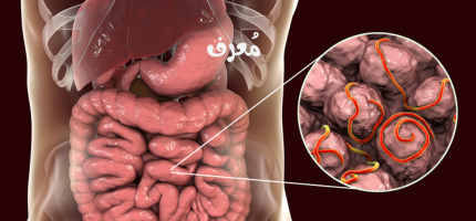 الأمعاء الدقيقة